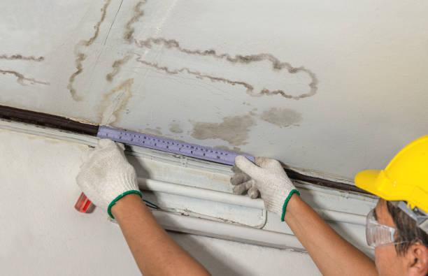 Reliable Structural Drying contractor in Mitchells, VA by Water Damage Irwin